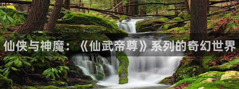 我是坏小子漫画下拉式奇漫屋：仙侠与神魔：《仙武帝尊》系列的奇幻世界