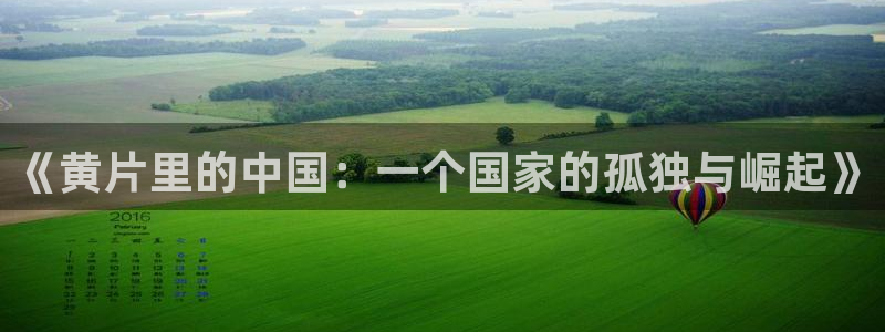 我的身上有条龙漫画奇漫屋：《黄片里的中国：一个国家的孤独与崛起》