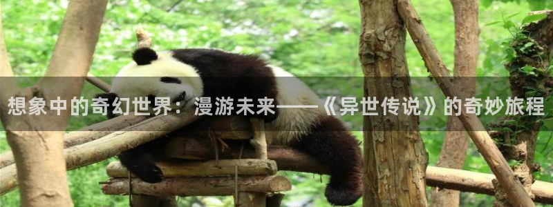 名侦探柯南奇漫屋：想象中的奇幻世界：漫游未来——《异世传说》的奇妙旅程