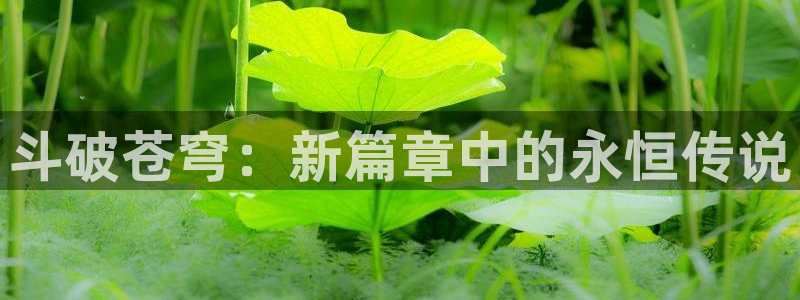 奇漫屋漫画免费：斗破苍穹：新篇章中的永恒传说