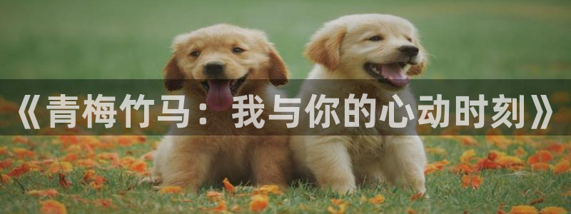 我为邪帝漫画下拉式奇漫屋：《青梅竹马：我与你的心动时刻》