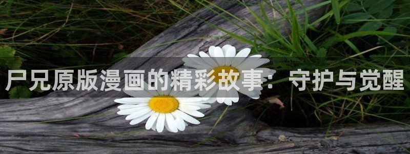 奇漫屋在线：尸兄原版漫画的精彩故事：守护与觉醒
